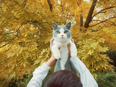 -纳吉亚猫专科动物医院博雅分院