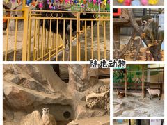 -海合安成都极地海洋公园