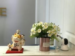 -F.N冻龄皮肤管理中心