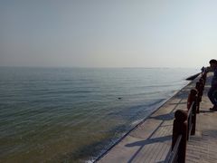 -北海金海湾红树林生态旅游区