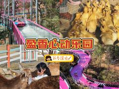 -盈香心动乐园