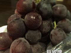 海堤葡萄园-海堤葡萄园中小学生研学基地