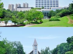 -成都保利公园皇冠假日酒店(熊猫基地店)