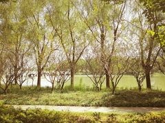 -昆山城市生态森林公园