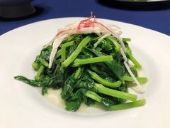 火丝银芽豆苗-江南雅厨(李公堤店)