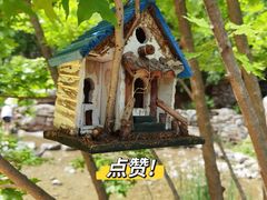 -幽岚山·童话森林