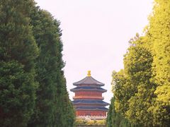 -龙津风雨桥