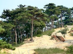 -沂蒙山旅游区云蒙景区(蒙山国家森林公园)
