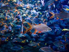 -成都浩海立方海洋公园