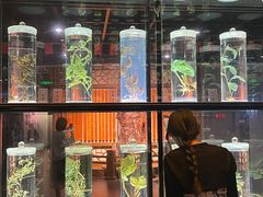-广东中医药博物馆