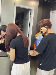 -Cima salon西玛沙龙