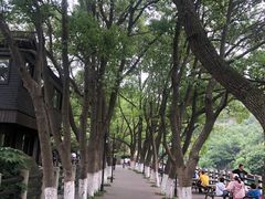 -白马涧龙池景区