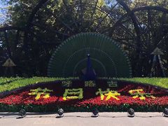 -呀路古热带植物园