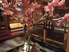 -蓝鲸湾汤泉(包河店)