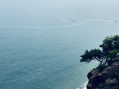-棒棰岛宾馆景区