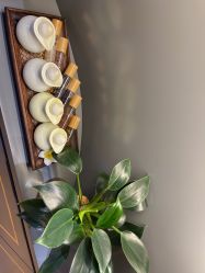 点击看大图 -栖SPA·ONDA ·海菲秀·皑皑科技美肤中心