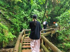 -青城山