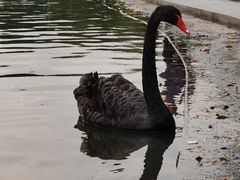 -上海交通大学闵行校区-包玉刚图书馆