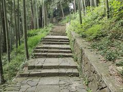 -莫干山风景区