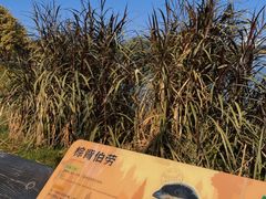 -海珠湖公园
