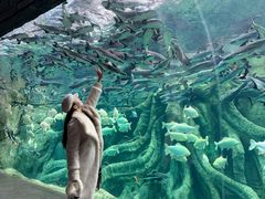 -哈尔滨波塞冬海底世界