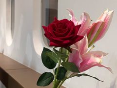 -法兰度航空主题餐厅(河源店)