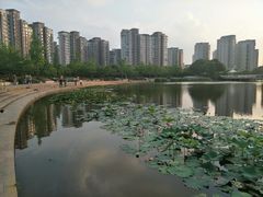 -新江湾城公园
