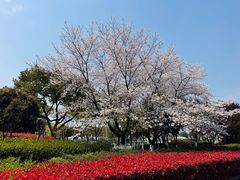 -IKEA宜家家居(南京商场)