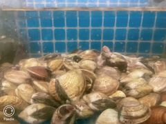 -梦幻岛海鲜自助·涮烤一体(启东申港城店)