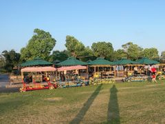 -春花秋色城市公园