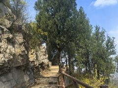 -佛慧山