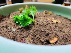 盆栽水果捞-赵小姐丨新中餐(曲江店)