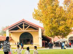 -意大利农场度假村