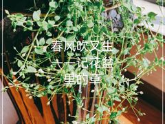 -七彩云南茶(七彩云南第壹城店)