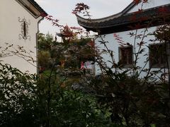 -芥子园