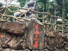 -海口火山口国家地质公园