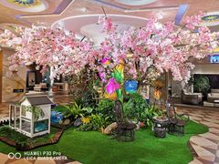 -上海月星家居(澳门路店)