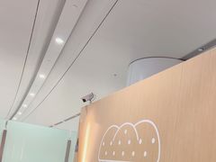 -麦当劳(北京大兴机场二层国内到达(安检外)店)