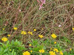 -汉长安城未央宫国家考古遗址公园