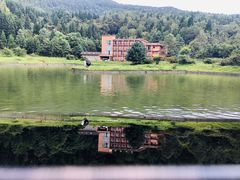 -武陵山森林公园