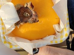 -大象厨房(重庆道店)