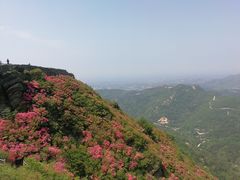 -木兰云雾山