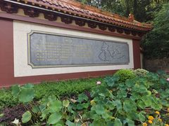 -富乐山