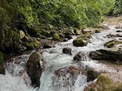 -西岭雪山大飞水景区