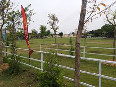 -长洲岛都市农业公园