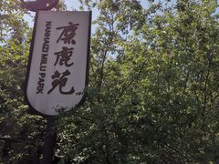 -北京麋鹿生态实验中心