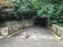 -苏州河梦清园环保主题公园