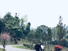 -枫香湖儿童公园