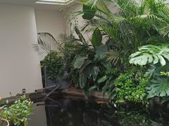 -漫笙舍Manse·咖啡·民宿
