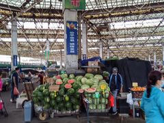 -重振华中蔬菜批发市场(重庆中路店)